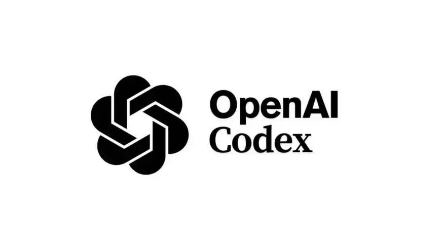命令行部署Codex