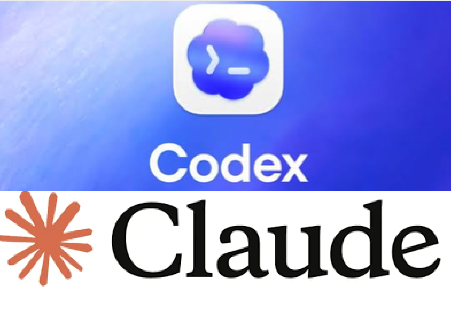 Codex cli以及Claude cli使用方法